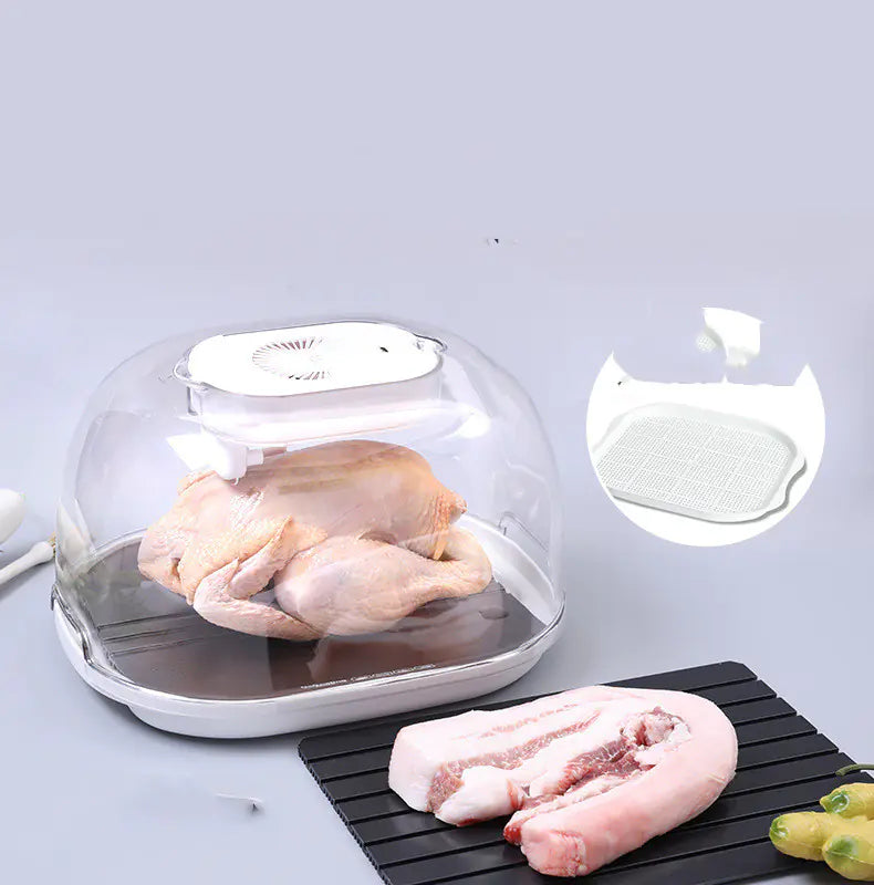 Rapid Meat Defrosting