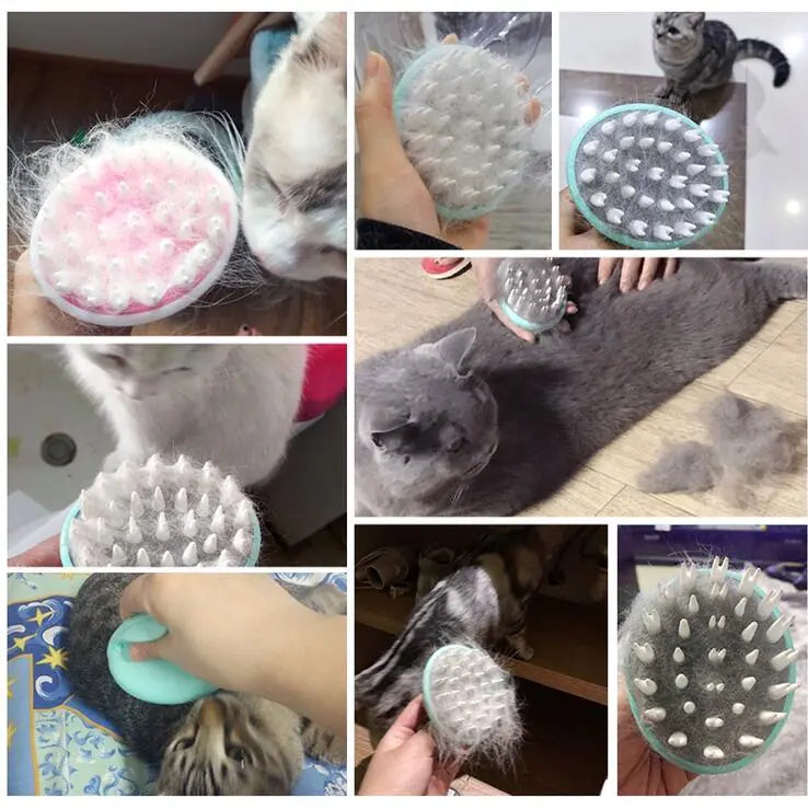 Pet Soft Brush for Grooming and Care
