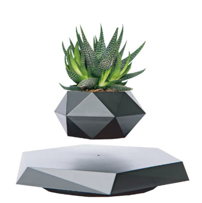 FloatBloom Bonsai Pot (Single Item)