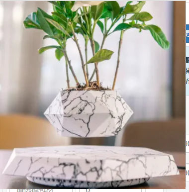 FloatBloom Bonsai Pot (Single Item)