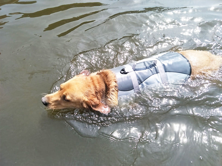 Shark Mermaid Pet Life Jacket for Dogs (Amazon Hit)