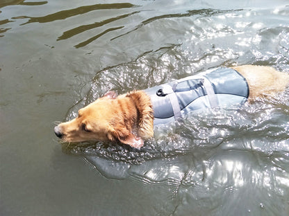 Shark Mermaid Pet Life Jacket for Dogs (Amazon Hit)