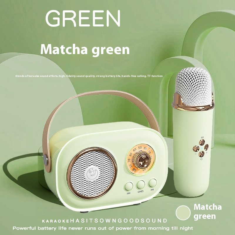 Portable Bluetooth Audio With Wireless Microphone