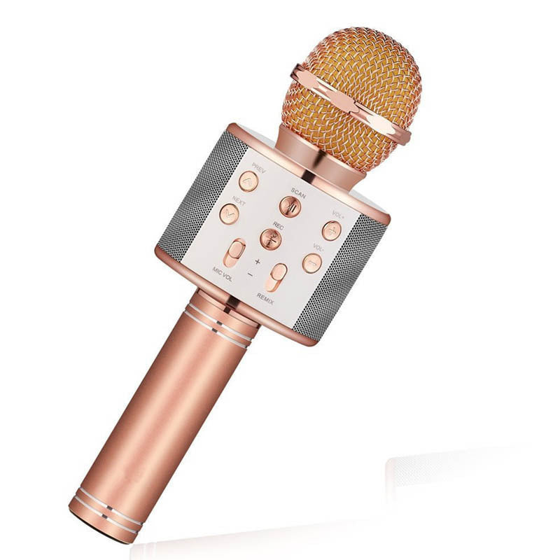 WS858 Wireless Bluetooth Karaoke Microphone Speaker