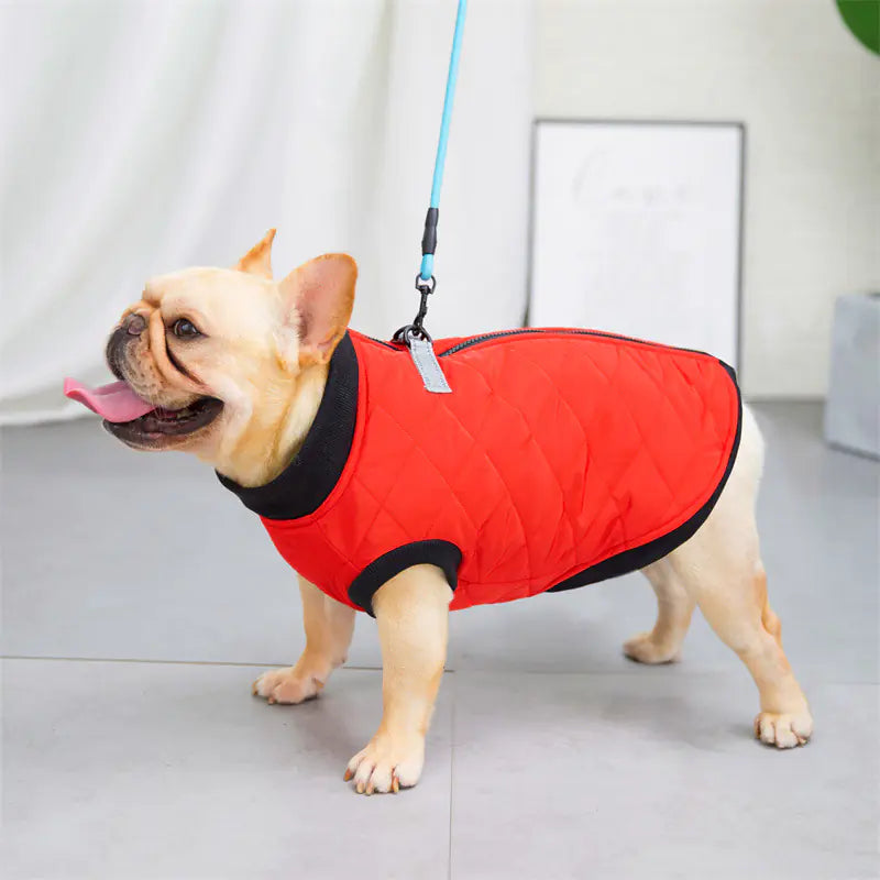 Cotton French Bucket Vest for Dogs
