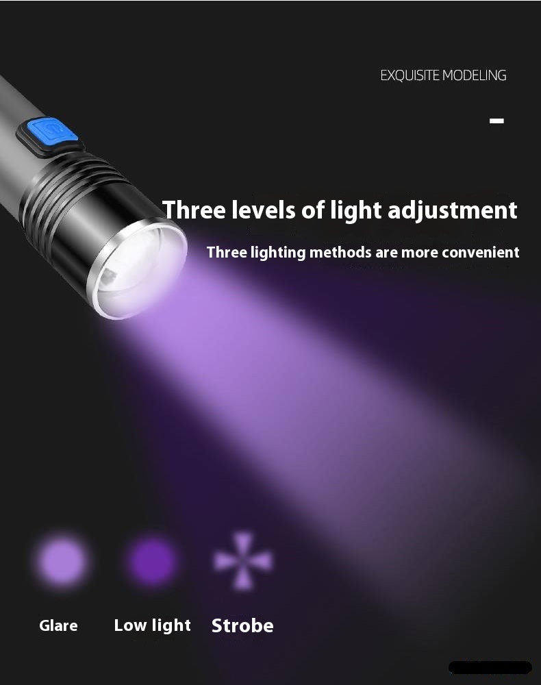 Intelligent Induction UV Lamp