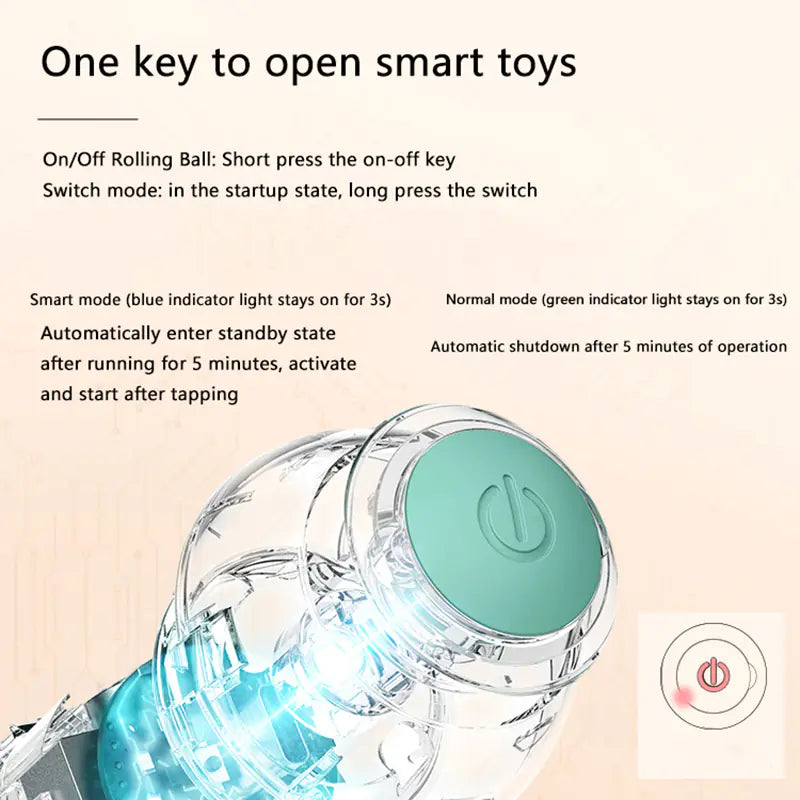 Automatic Rolling Ball for Intelligent Cat Play