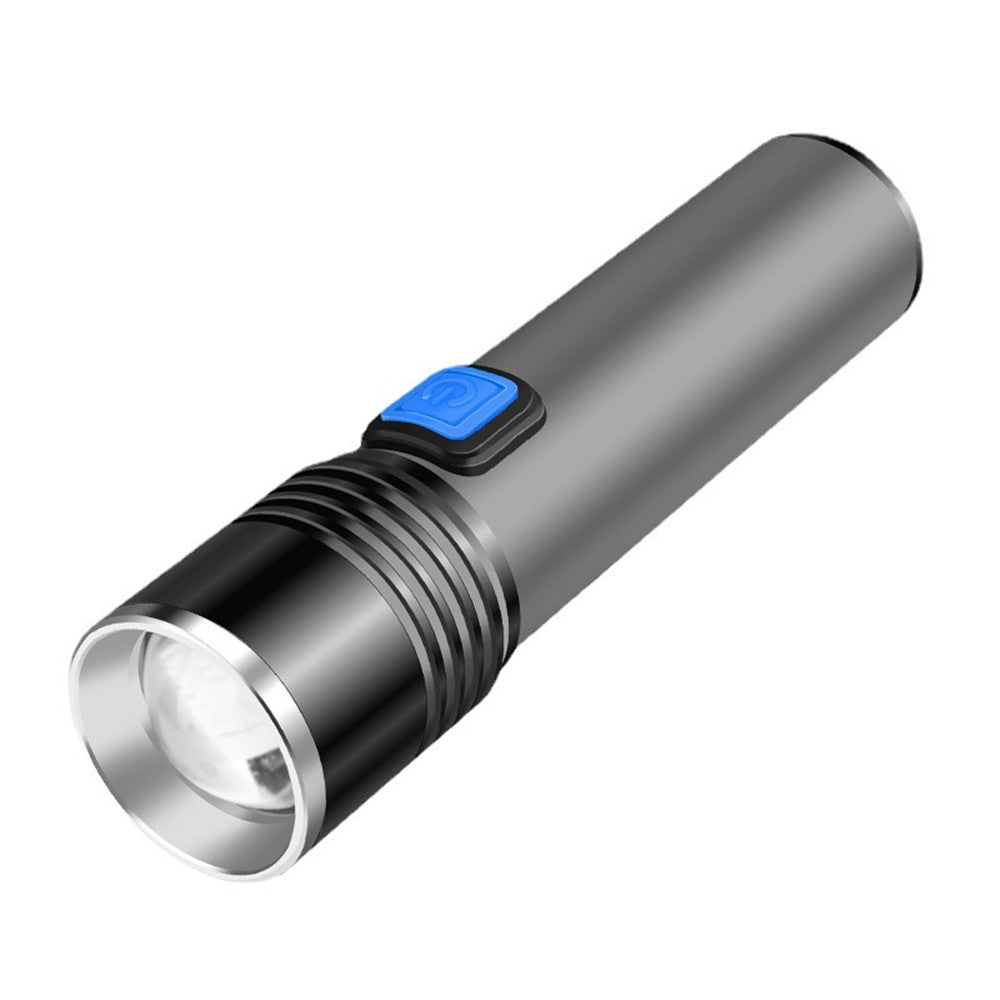 Intelligent Induction UV Lamp