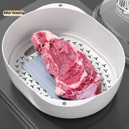 Smart 6-in-1 Quick Thaw Machine and UV Sanitizer