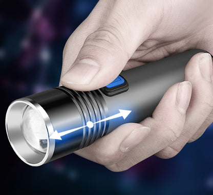 Intelligent Induction UV Lamp