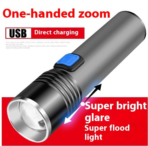 Intelligent Induction UV Lamp