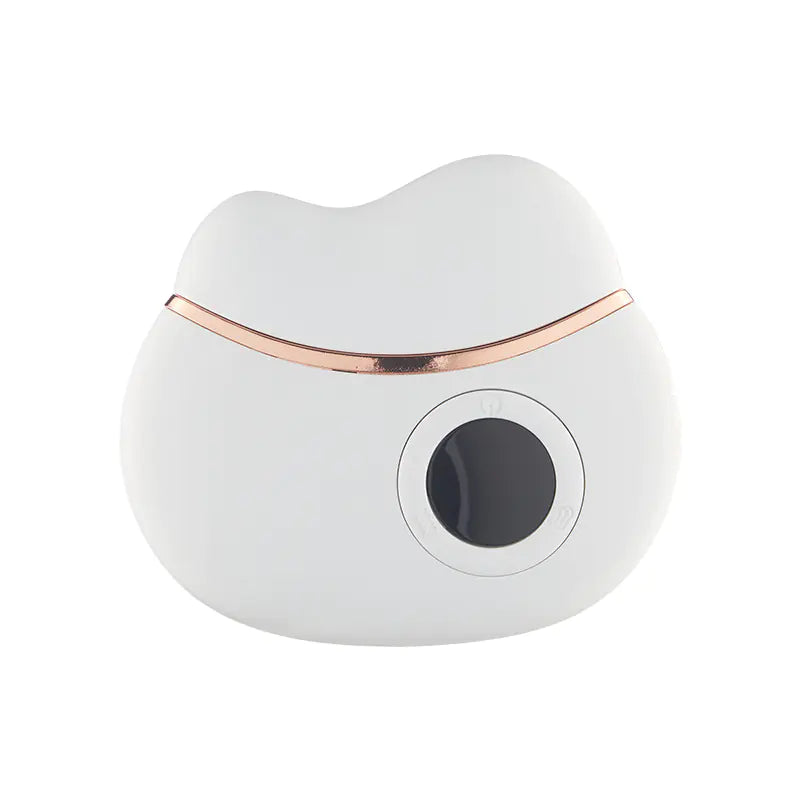 Electric Gua Sha Massager for Face Lifting and Wrinkle Care