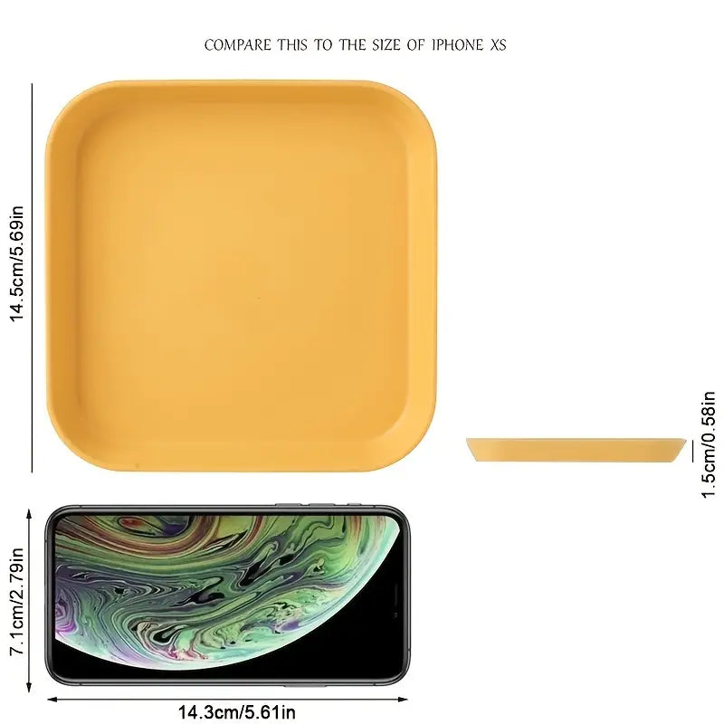 Versatile Plastic Plate for Enhanced Snacking Experience