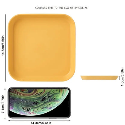 Versatile Plastic Plate for Enhanced Snacking Experience