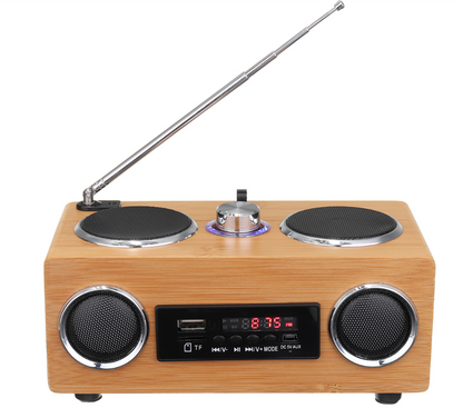 Bluetooth Radio and Speaker System