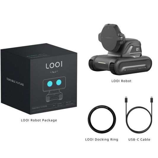 AI Interactive Robot Assistant