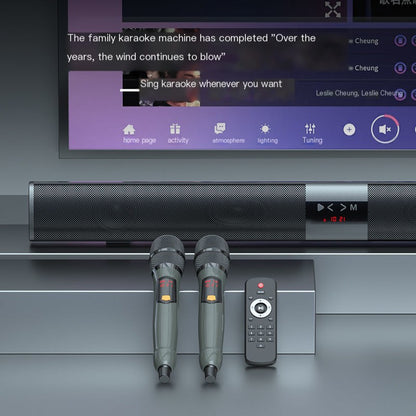 Wireless Bluetooth Speaker and Microphone KTV Set