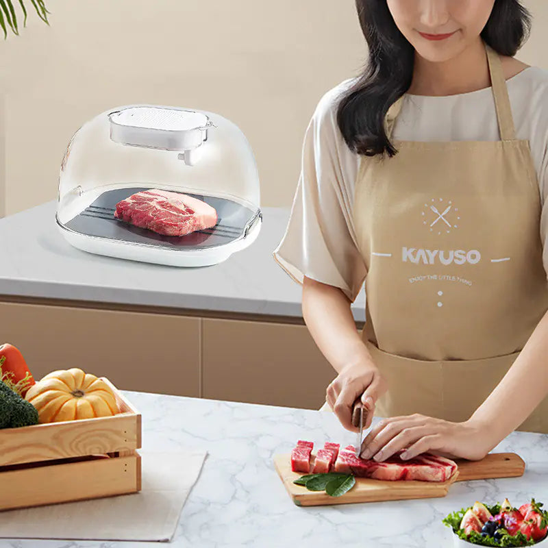 Rapid Meat Defrosting
