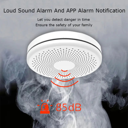 Tuya Carbon Monoxide Detector with Smoke Alarm