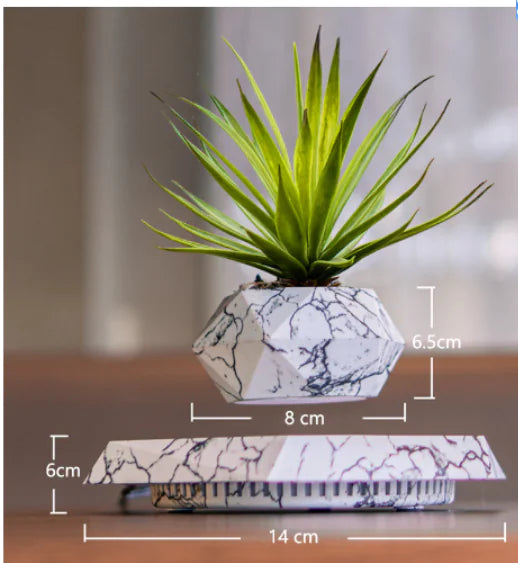 FloatBloom Bonsai Pot (Single Item)