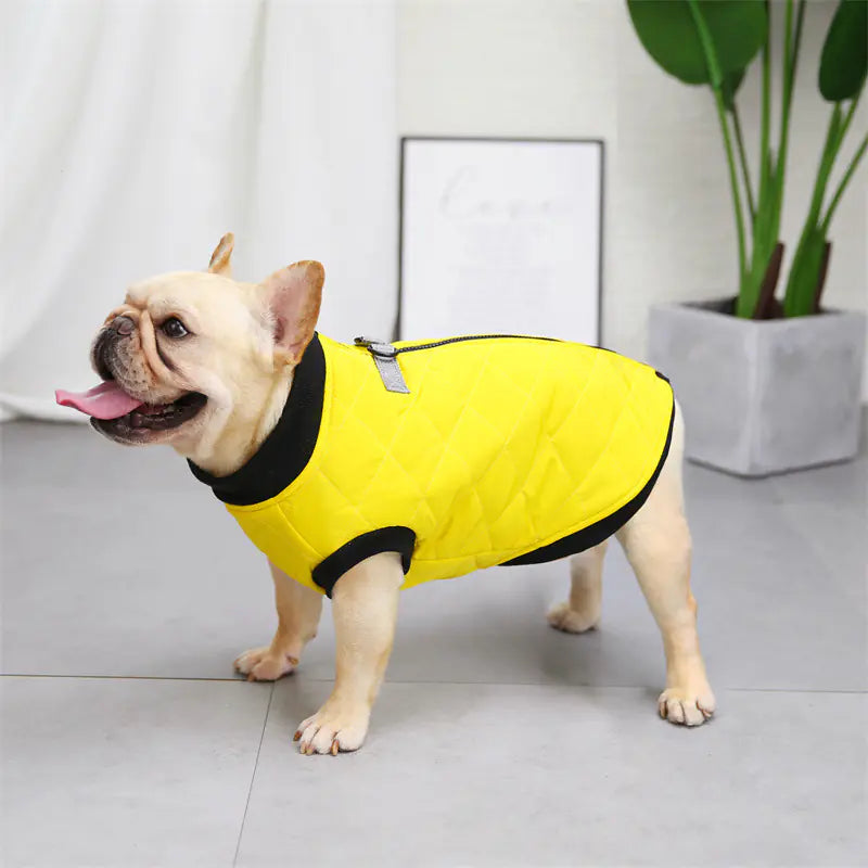 Cotton French Bucket Vest for Dogs