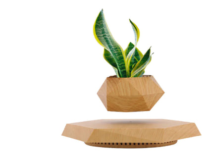 FloatBloom Bonsai Pot (Single Item)