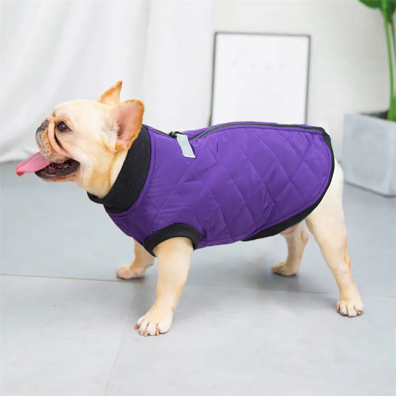 Cotton French Bucket Vest for Dogs