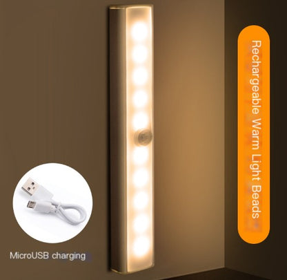 LED Motion Sensor Light Linny (One Unit)