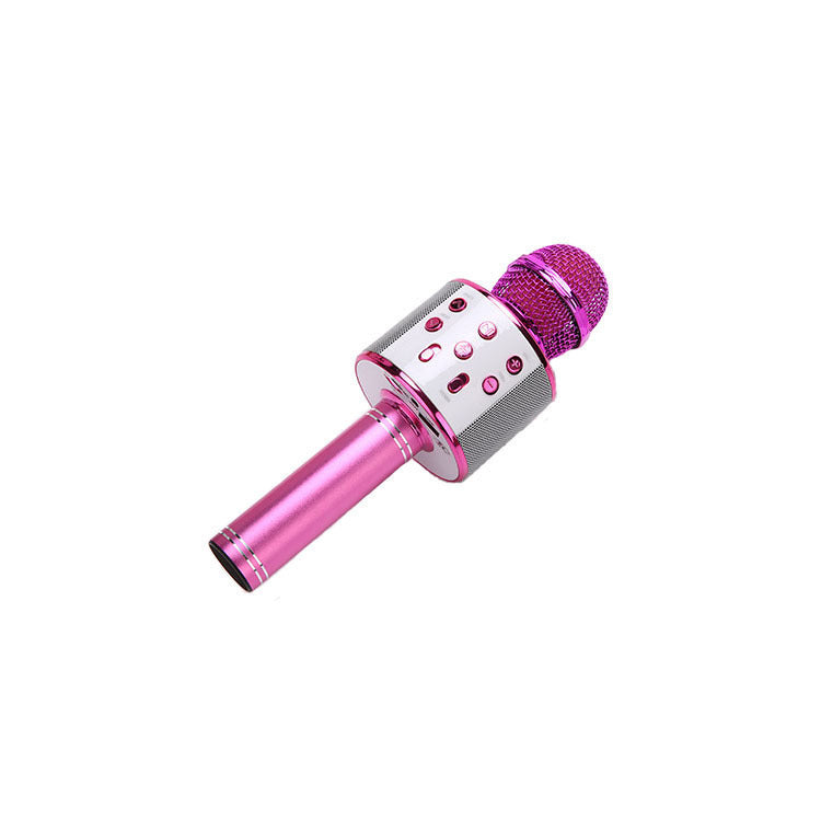 WS858 Wireless Bluetooth Karaoke Microphone Speaker