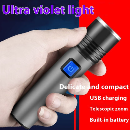 Intelligent Induction UV Lamp