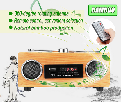 Bluetooth Radio and Speaker System