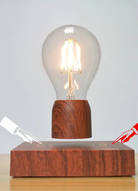 Maglev Light Bulb with Floating Plant Pot