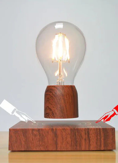 Maglev Light Bulb with Floating Plant Pot