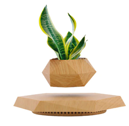 FloatBloom Bonsai Pot (Single Item)