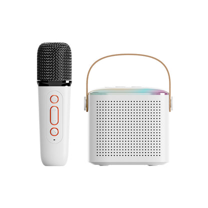 Portable Wireless Bluetooth Karaoke Microphone Speaker Set