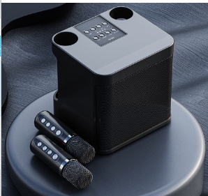 MBOX Karaoke - Wireless Dual Microphone Speaker (Single)