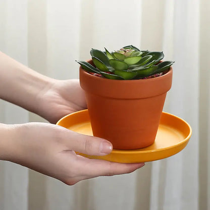 Versatile Plastic Plate for Enhanced Snacking Experience