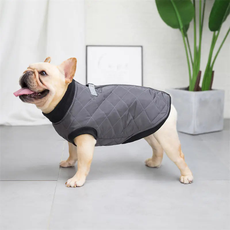 Cotton French Bucket Vest for Dogs