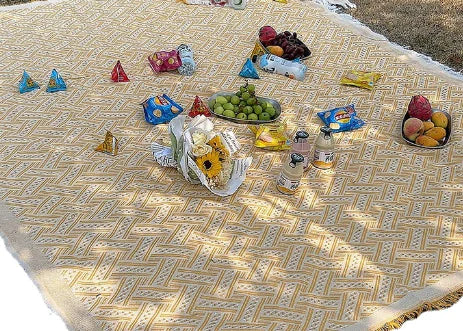 Outdoor Picnic Blanket for Parks and Camping Trips