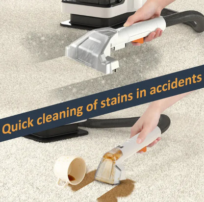 Auto Mist Touchless Spray Cleaner