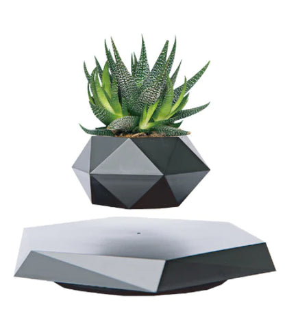 FloatBloom Bonsai Pot (Single Item)