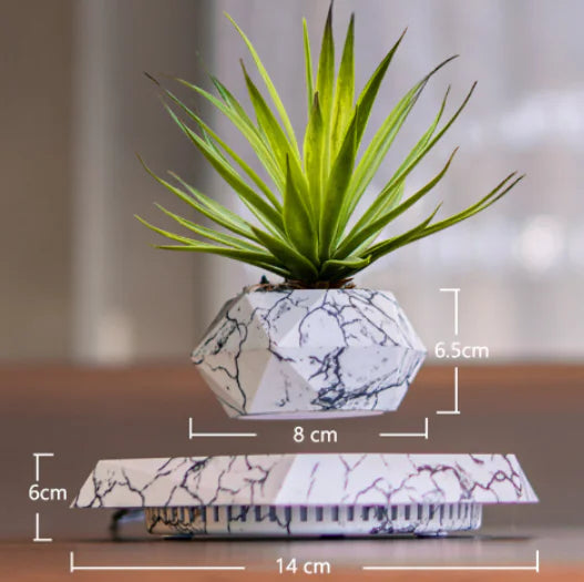 FloatBloom Bonsai Pot (Single Item)