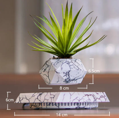 FloatBloom Bonsai Pot (Single Item)