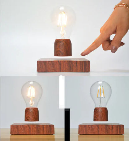 Maglev Light Bulb with Floating Plant Pot